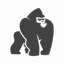 Icon for www.gorillatrips.net