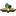 Icon for www.greeneducationfoundation.org