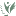 Icon for www.harrisbattersea.org.uk