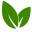 Icon for www.healthyandnaturalworld.com