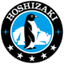 Icon for www.hoshizakiamerica.com
