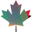 Icon for www.immiboards.com