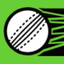 Icon for www.inningsbreak.com