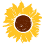 Icon for www.jocolibrary.org