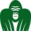 Icon for www.junglesoftware.com