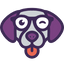 Icon for www.k12jobspot.com