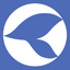 Icon for www.krovisoverseas.com
