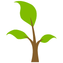 Icon for www.learningtree.com