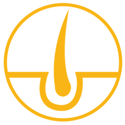 Icon for www.learnskin.com