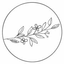 Icon for www.lifeoncedarlane.com