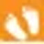 Icon for www.lifootcare.com