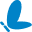 Icon for www.liricare.com