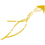 Icon for www.liskeard.net