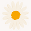 Icon for www.loveloveloveblog.com