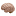 Icon for www.makethebrainhappy.com