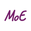Icon for www.mantleoftheexpert.com