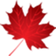Icon for www.matkowsky.ca