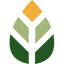 Icon for www.migrelief.com