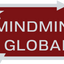 Icon for www.mindmineglobal.com