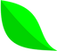 Icon for www.mint-hr.com