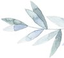 Icon for www.mintandpine.com
