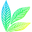 Icon for www.mintdesignblog.com