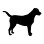 Icon for www.myblackdog.co