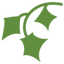 Icon for www.myivylink.com