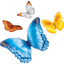 Icon for www.nationwidechildrens.org