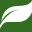 Icon for www.naturaltucson.com
