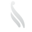 Icon for www.nnlegalaid.org