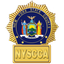 Icon for www.nyscourtclerks.org