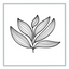 Icon for www.oleanderstudios.com