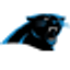 Icon for www.panthers.com