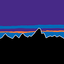 Icon for www.patagonia.com