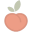 Icon for www.peacheycounselling.ca