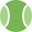 Icon for www.perfect-tennis.com