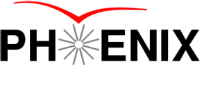Icon for www.phenix.bnl.gov