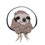 Icon for www.philipbrewer.net