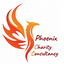 Icon for www.phoenixcharityconsultancy.co.uk