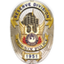 Icon for www.phoenixpolicereserve.org