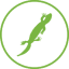 Icon for www.phoenixzoo.org