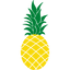 Icon for www.pineapplemoney.com