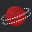 Icon for www.planetcricket.com