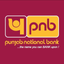 Icon for www.pnbindia.in