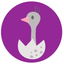 Icon for www.pregged.com