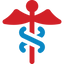 Icon for www.prescriptiontemplates.com