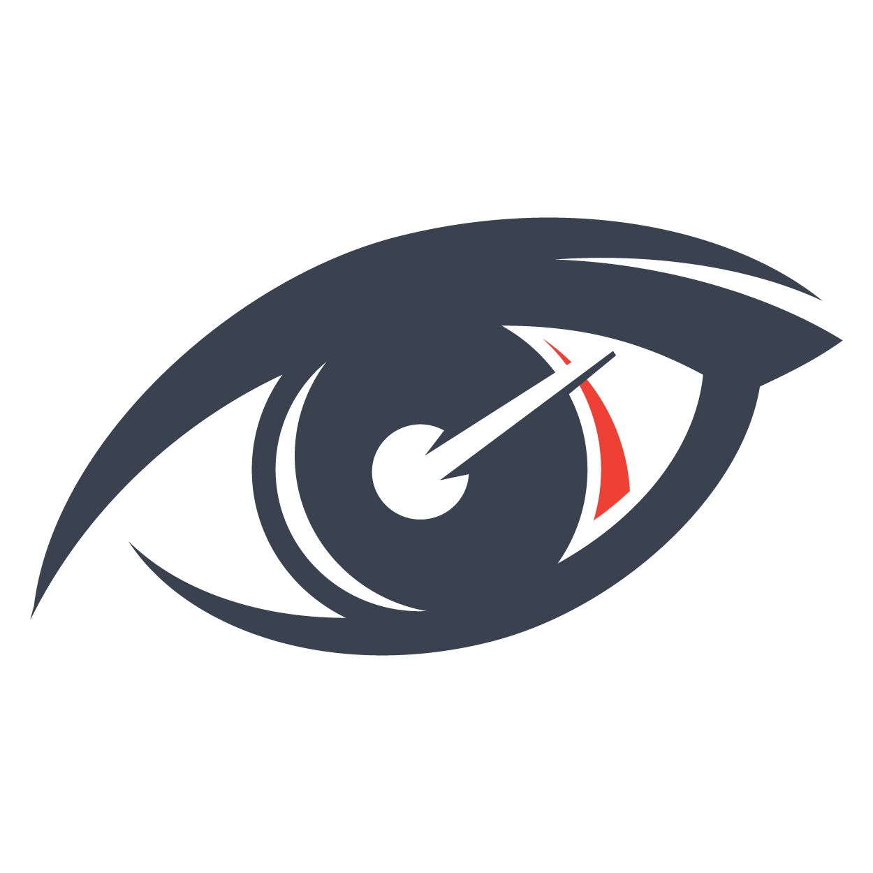 Icon for www.racescene.com