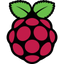 Icon for www.raspberrypi.org
