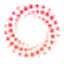 Icon for www.redlighttherapydigest.com